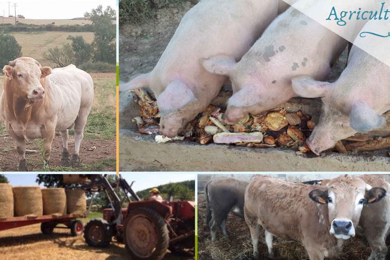 La qualité avant tout !