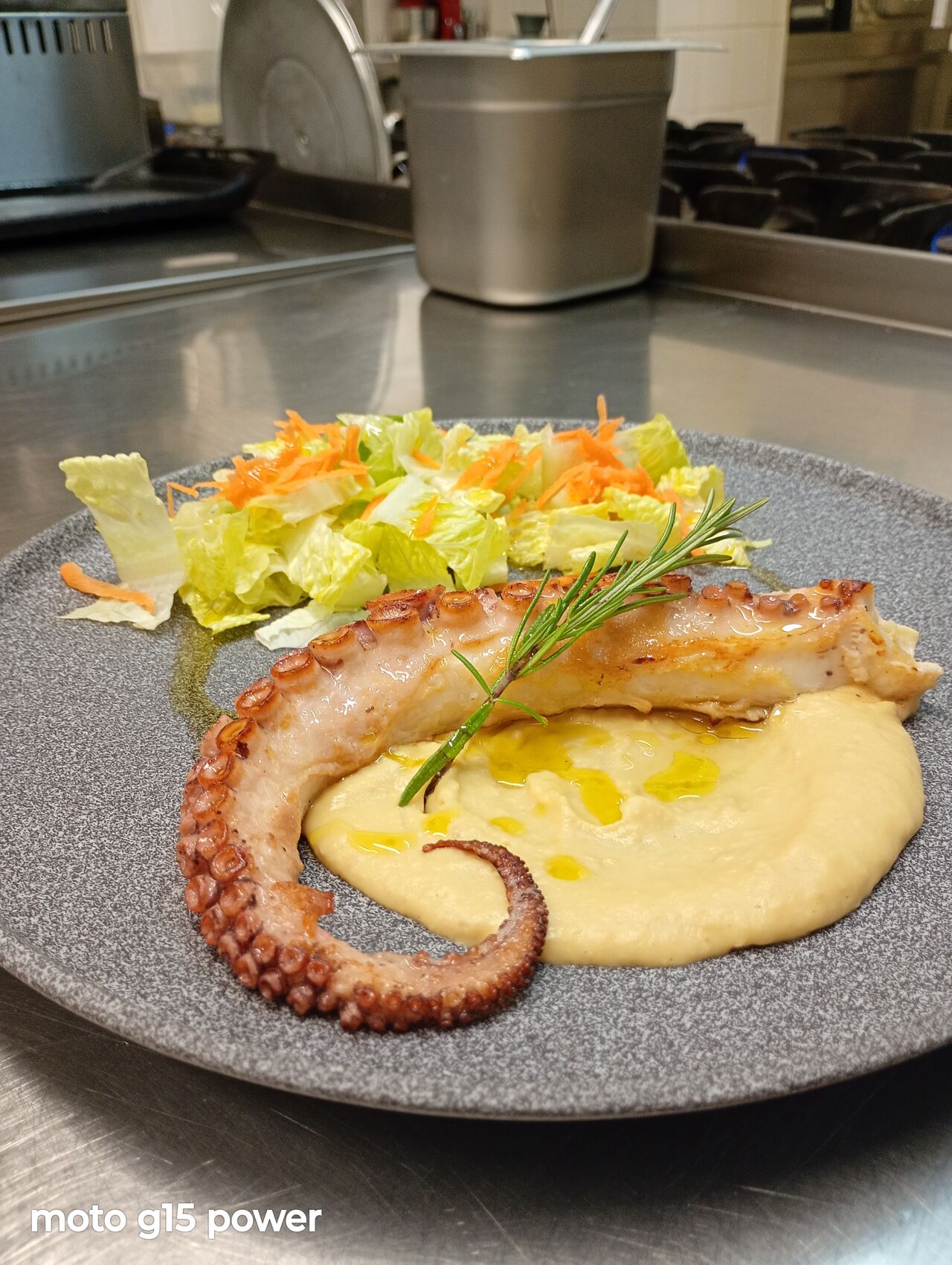 Polipo alla griglia con purea di ceci e contorno di insalata verde e pomodori secchi