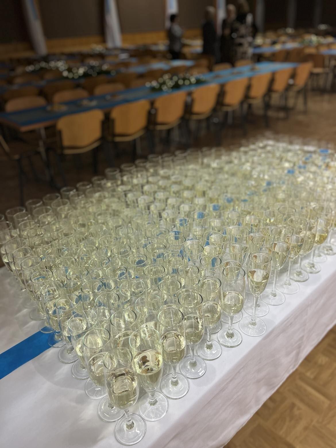 Firemní vánoční večírek - 200osob