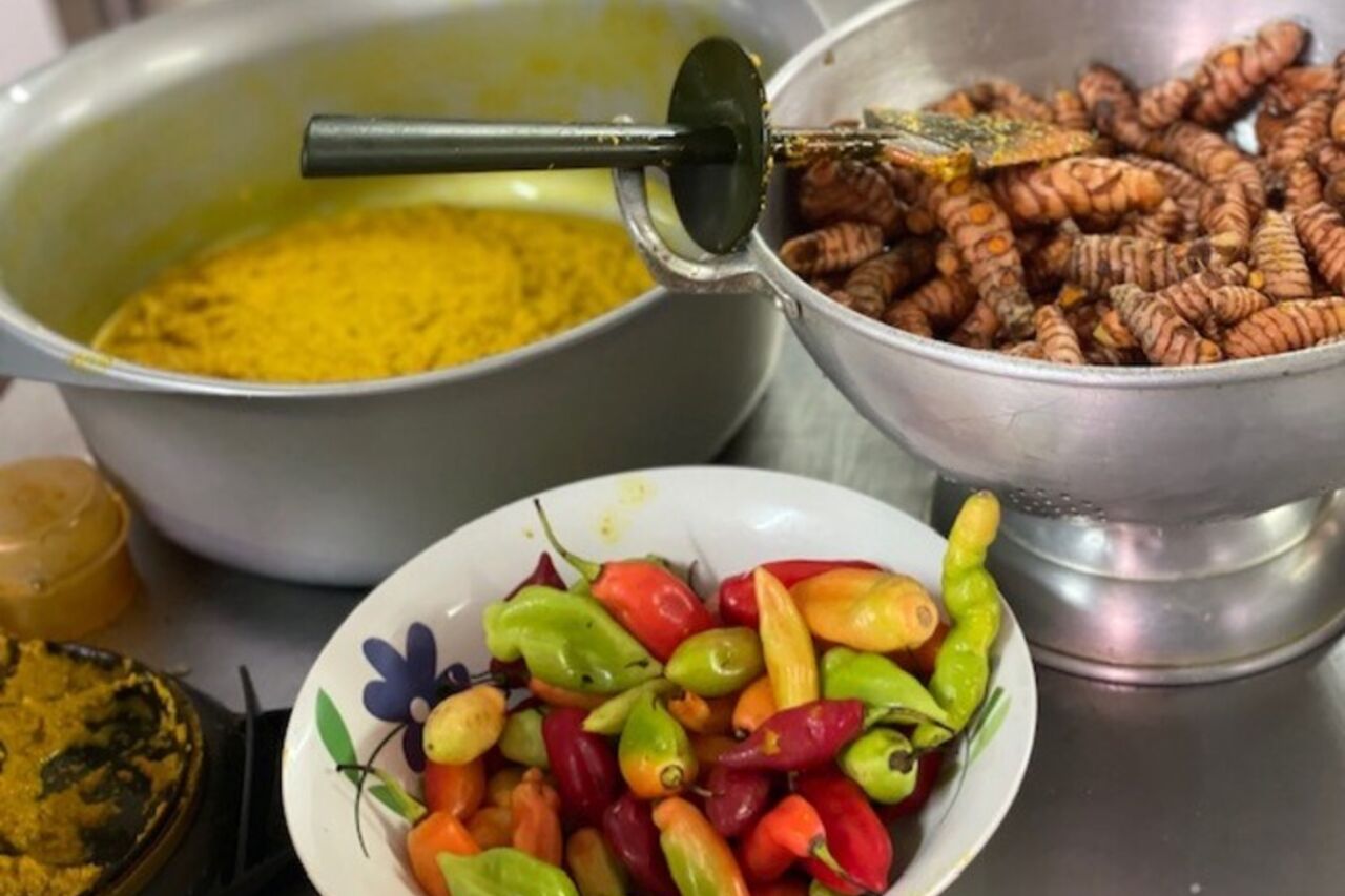 Ne ratez pas notre Foodtruck! (11h-14h30)