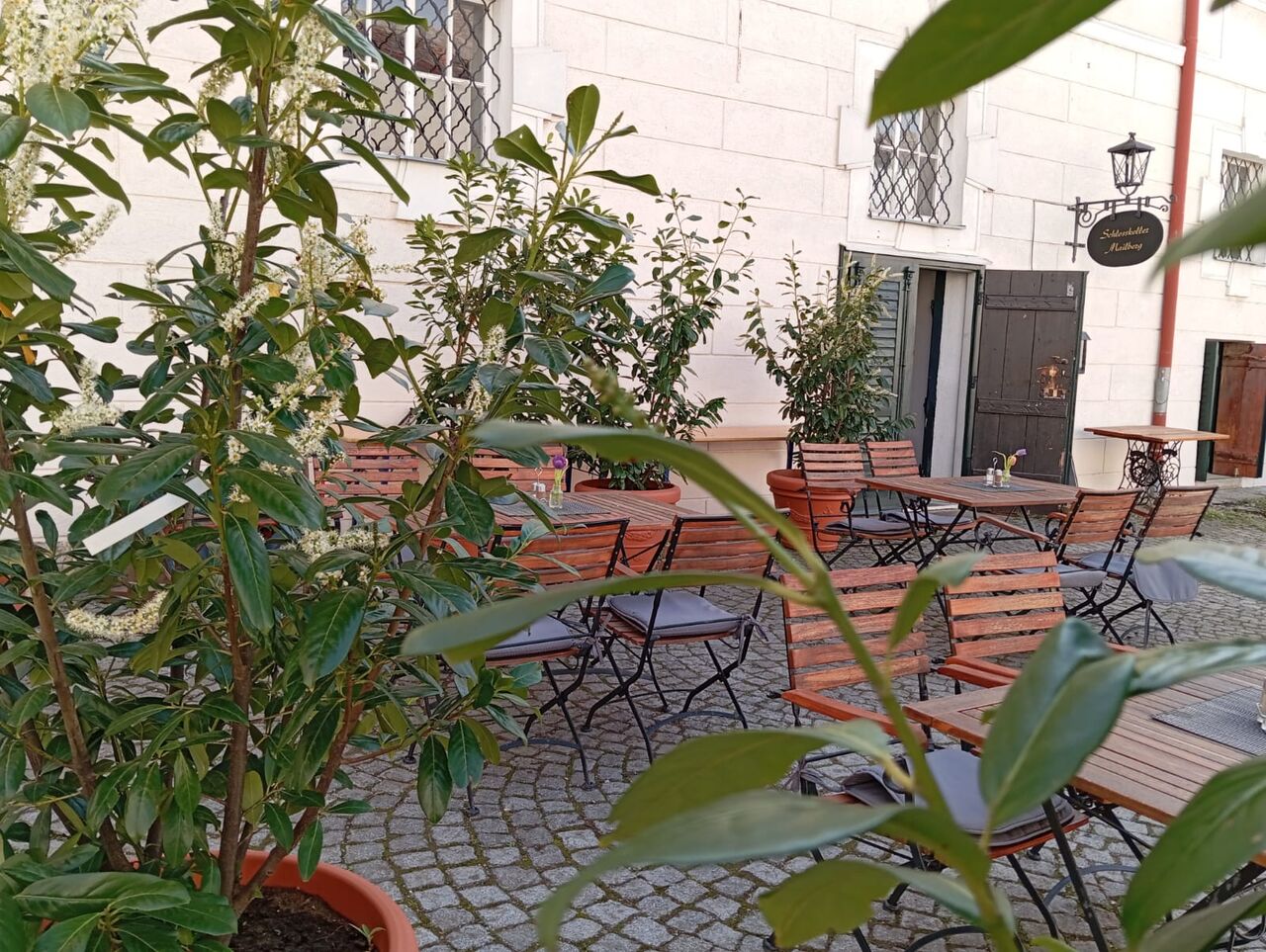 Unsere Terrasse - Blick 4