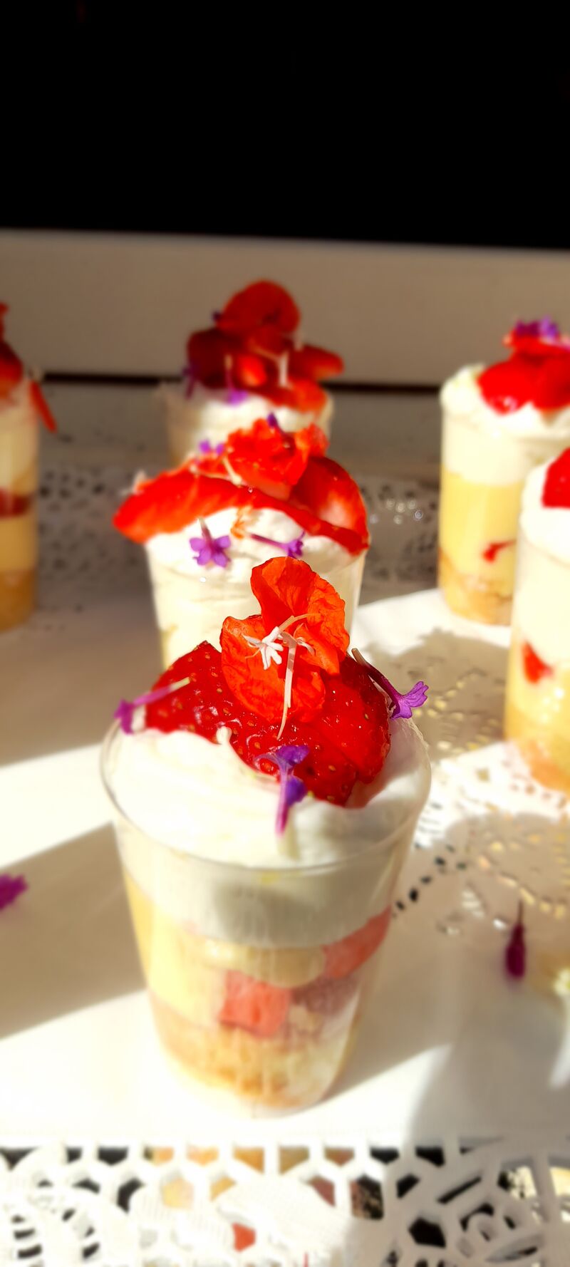 Fraisiers en verrines