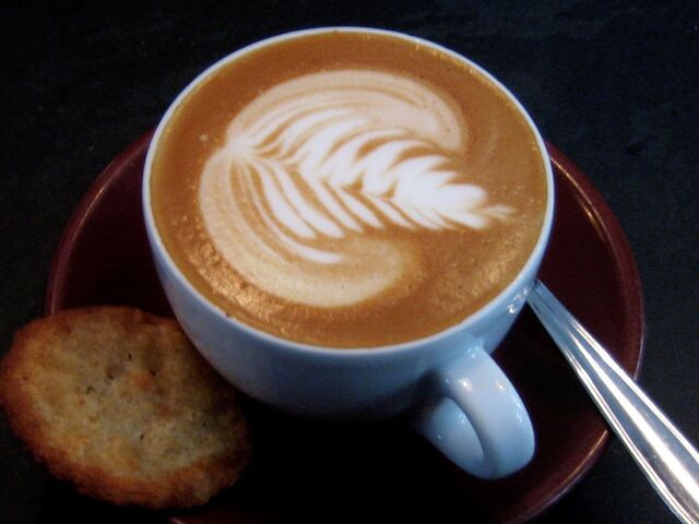 #Cappucchino #Füchsen #Farn #Tannenbaum #Feder #Latte Art #Barista #Kaffeekultur #Espresso #Tasse #Haferkeks #bester Kaffee