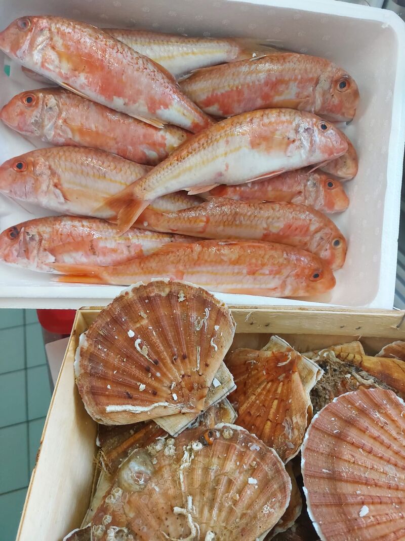 Rougets et St Jacques