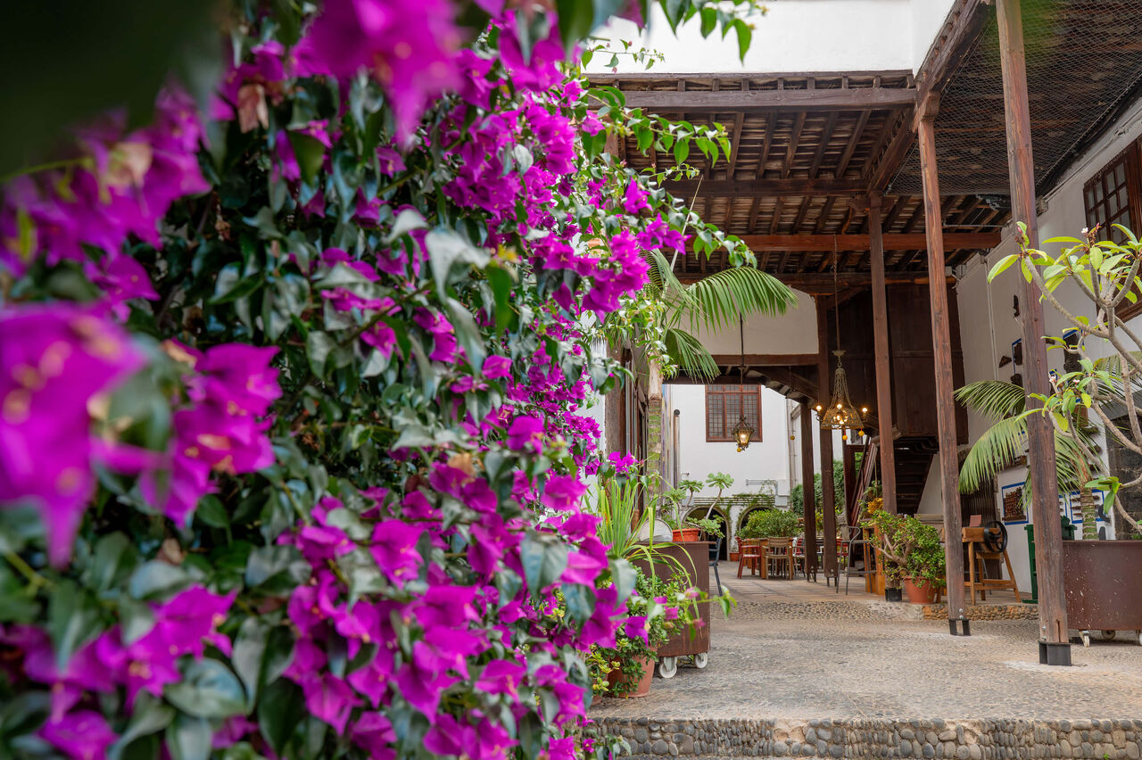 Nuestra terraza TZ14