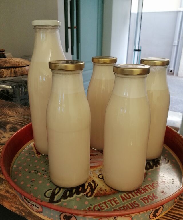 Lait végétal maison, en vente sur commande uniquement