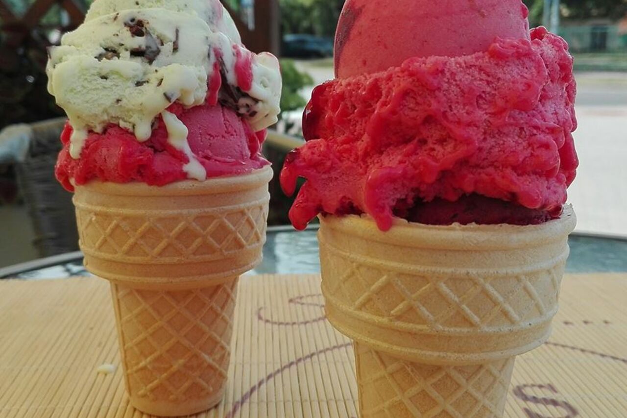 LODY GAŁKOWE