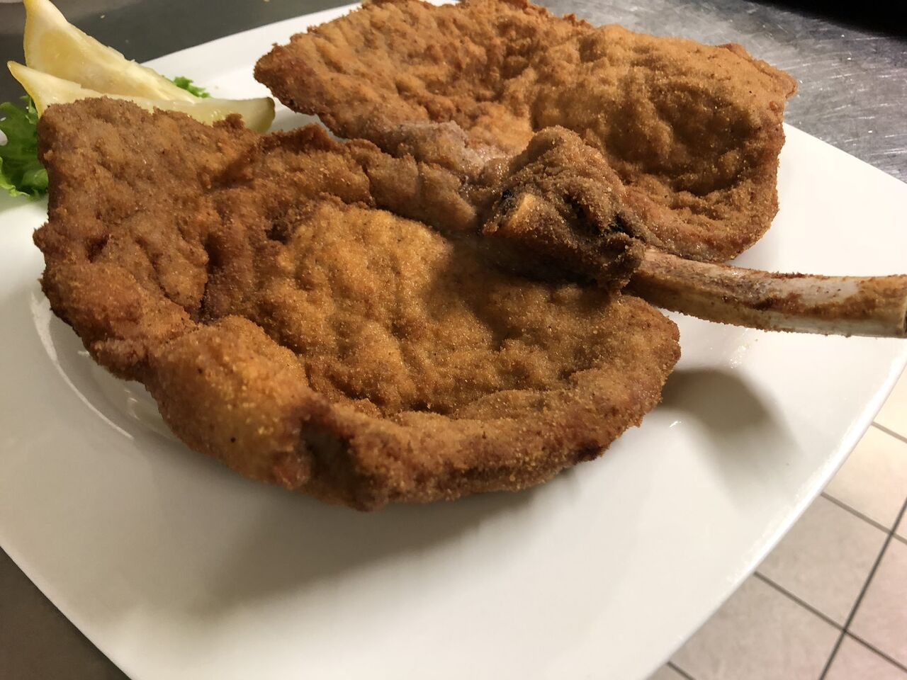 Orecchia di elefante 