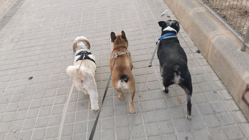 Los mejor portados 🤗😁