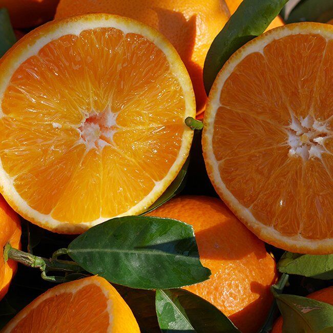 Orange lanelate - 2,21€/kg