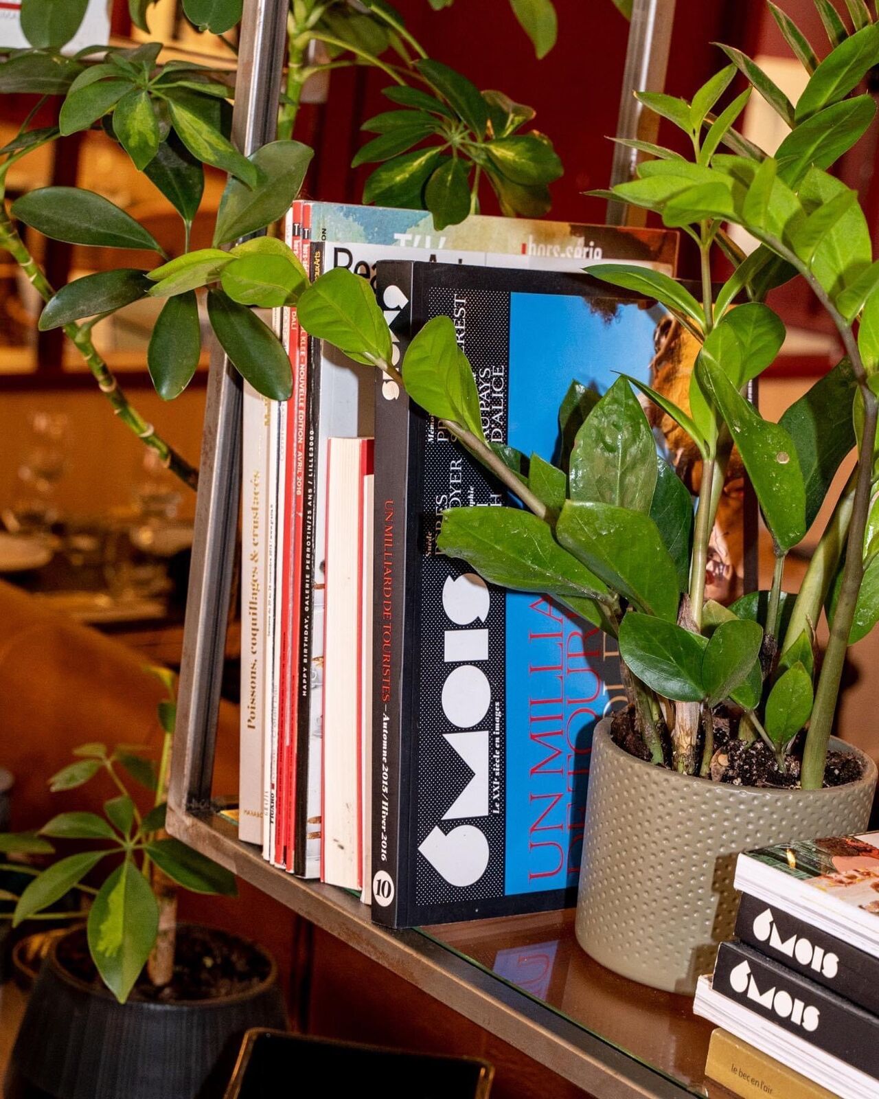 Un peu de lecture en attendant votre garniture?