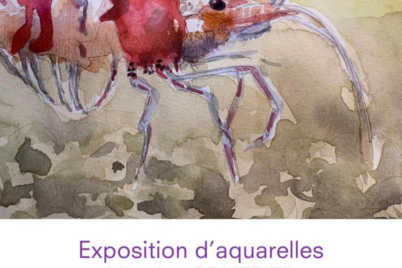 Exposition d’aquarelles