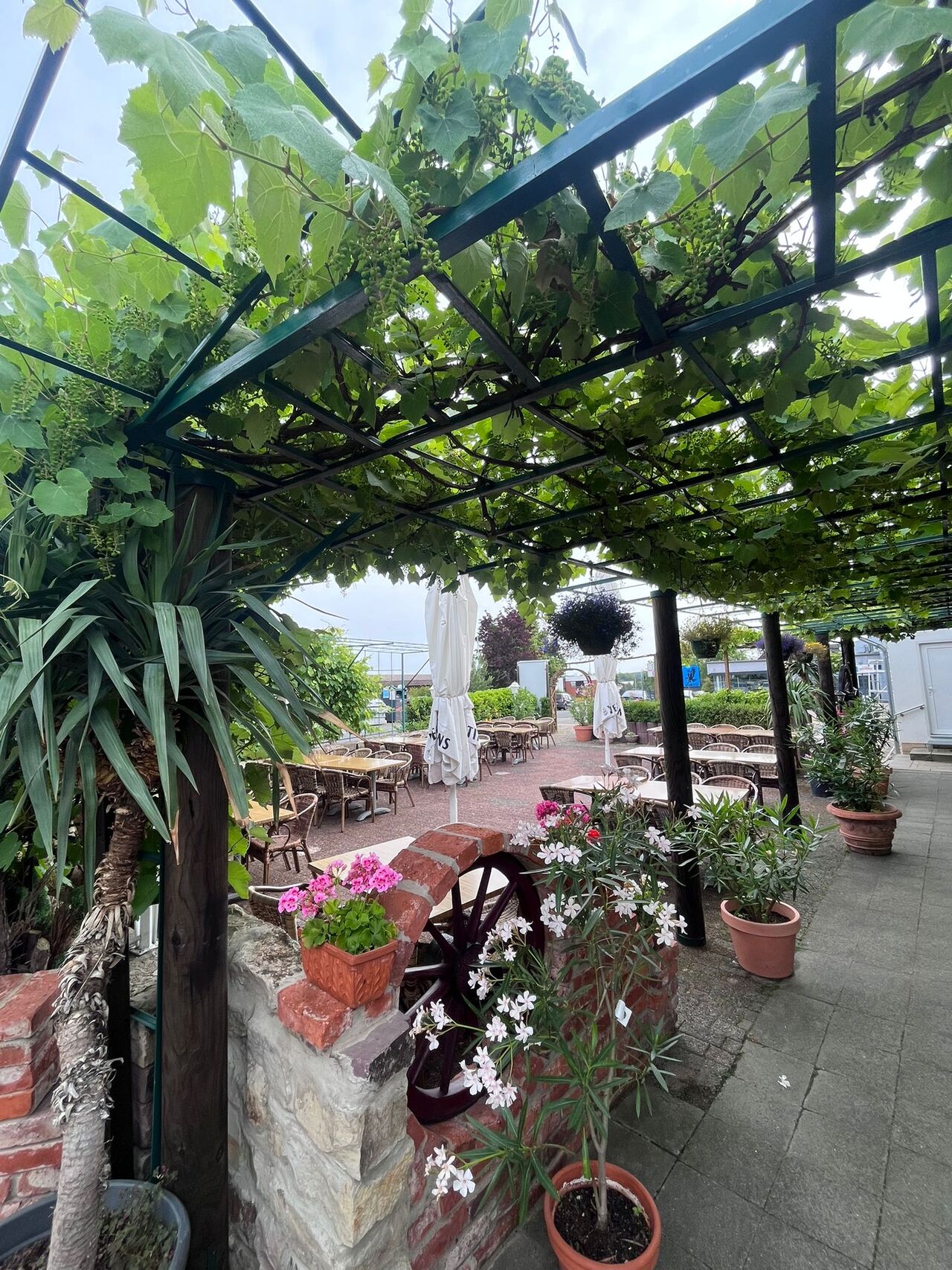 Restaurante Hacienda - Hildesheim | Brasilianische Küche in meiner Nähe | Jetzt reservieren