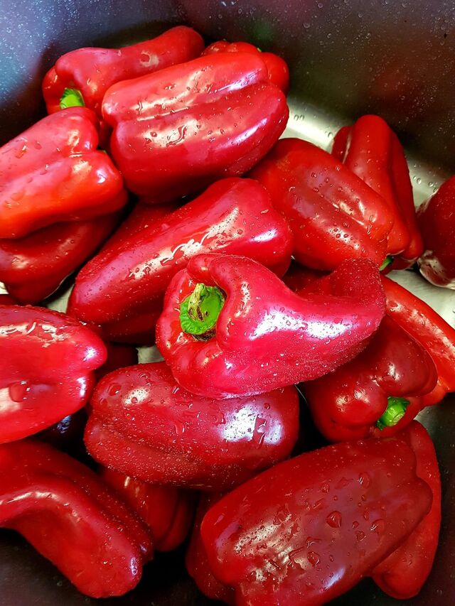 Préparation poivrons pour poivrons grillés à l’ail et huile d’olive maison 