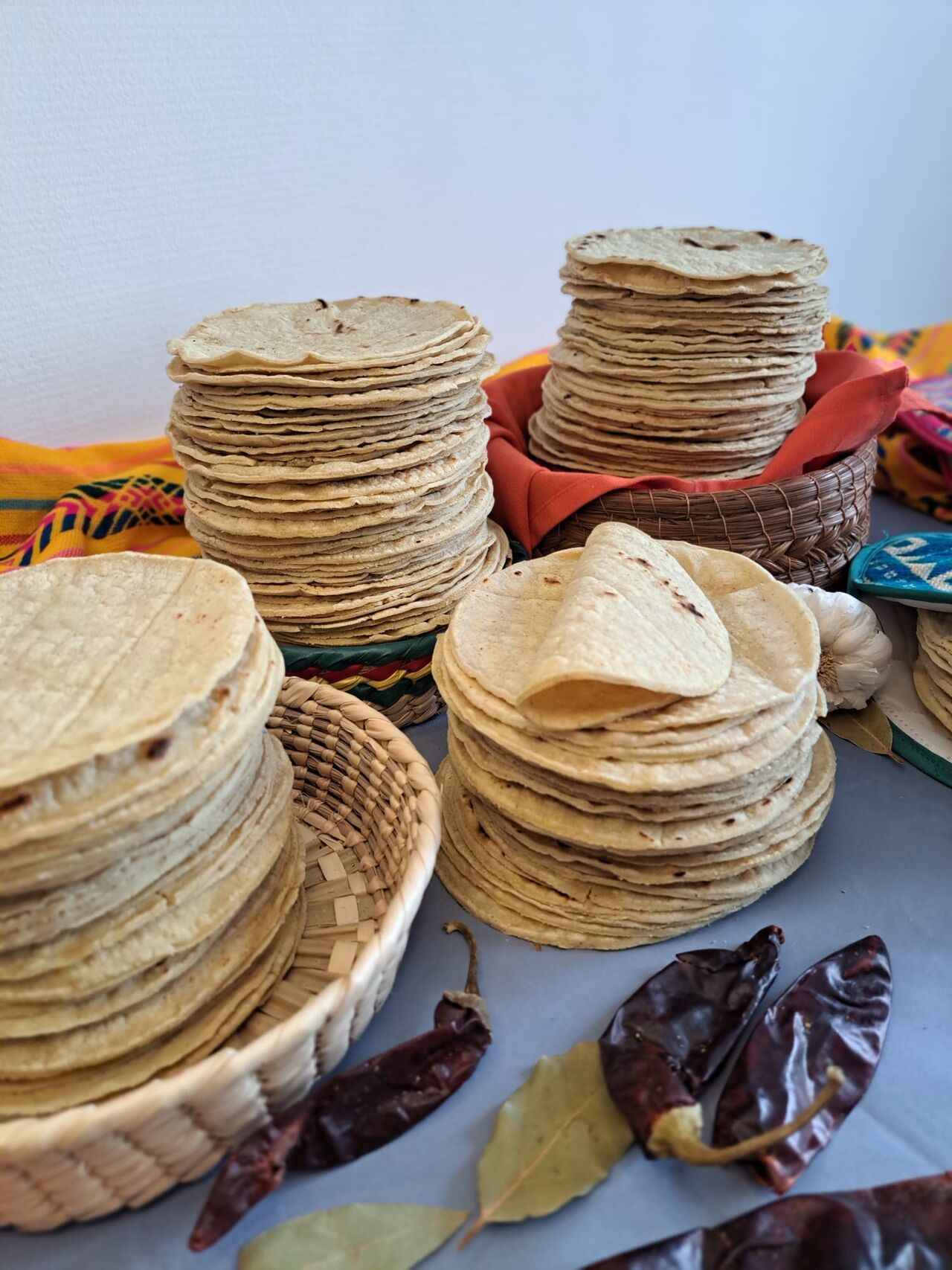 TORTILLERIA EN LIGNE