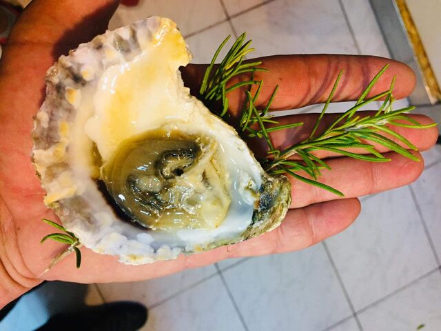 all fresh and meditaranian