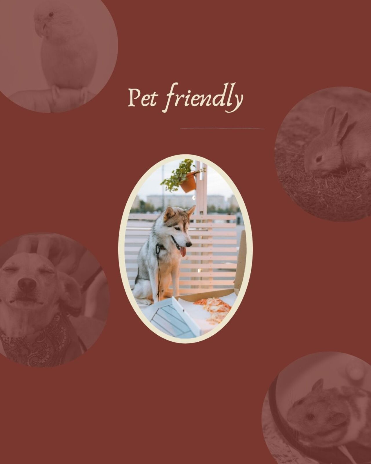 Ljubimci dobrodošli