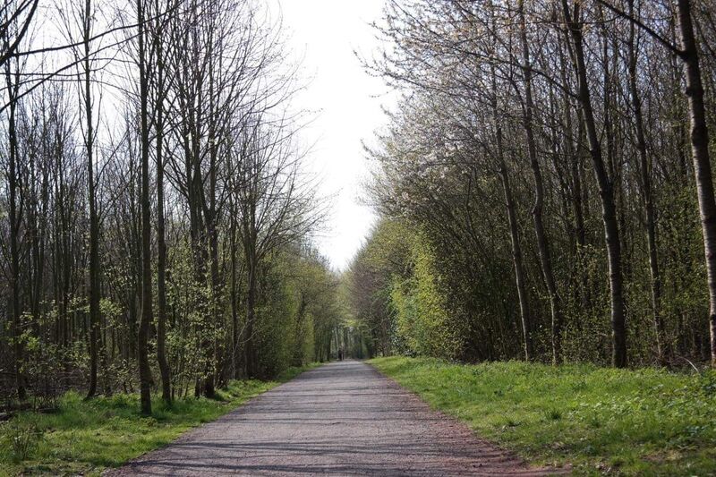 Provinciaal domein Bergelen