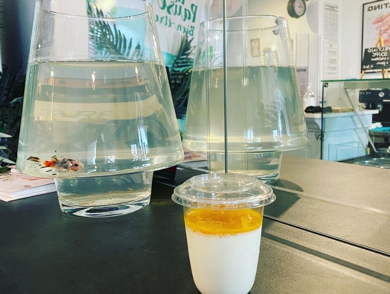 Panna cotta coulis passion 