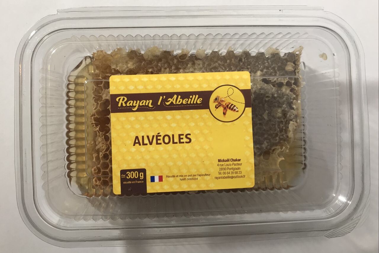 Alvéoles
