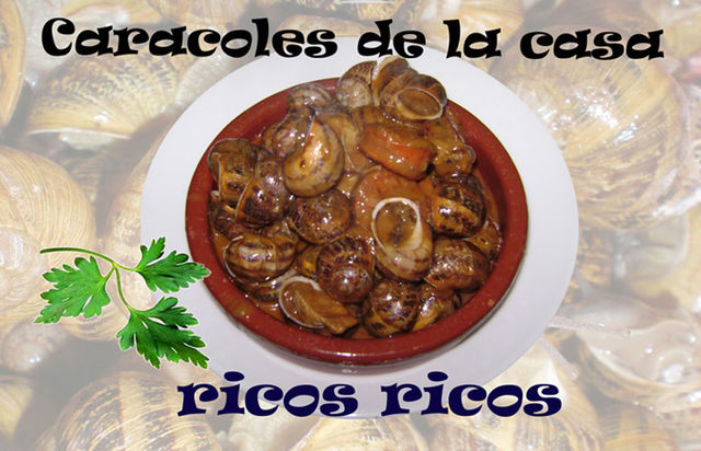 Especialidad en caracoles