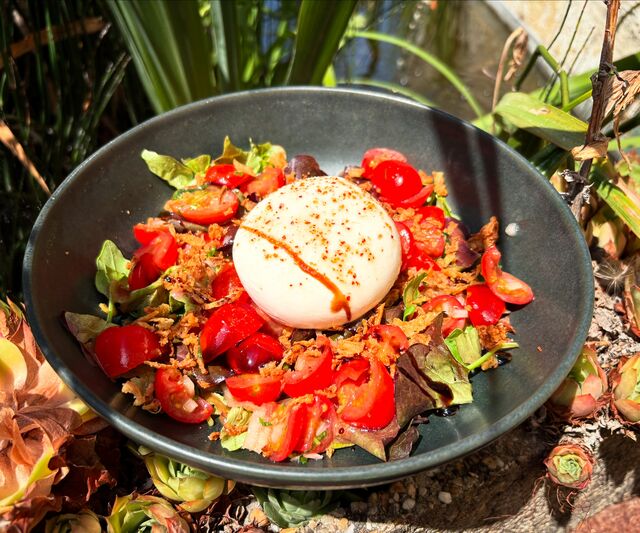 Burrata de tomates cerises
