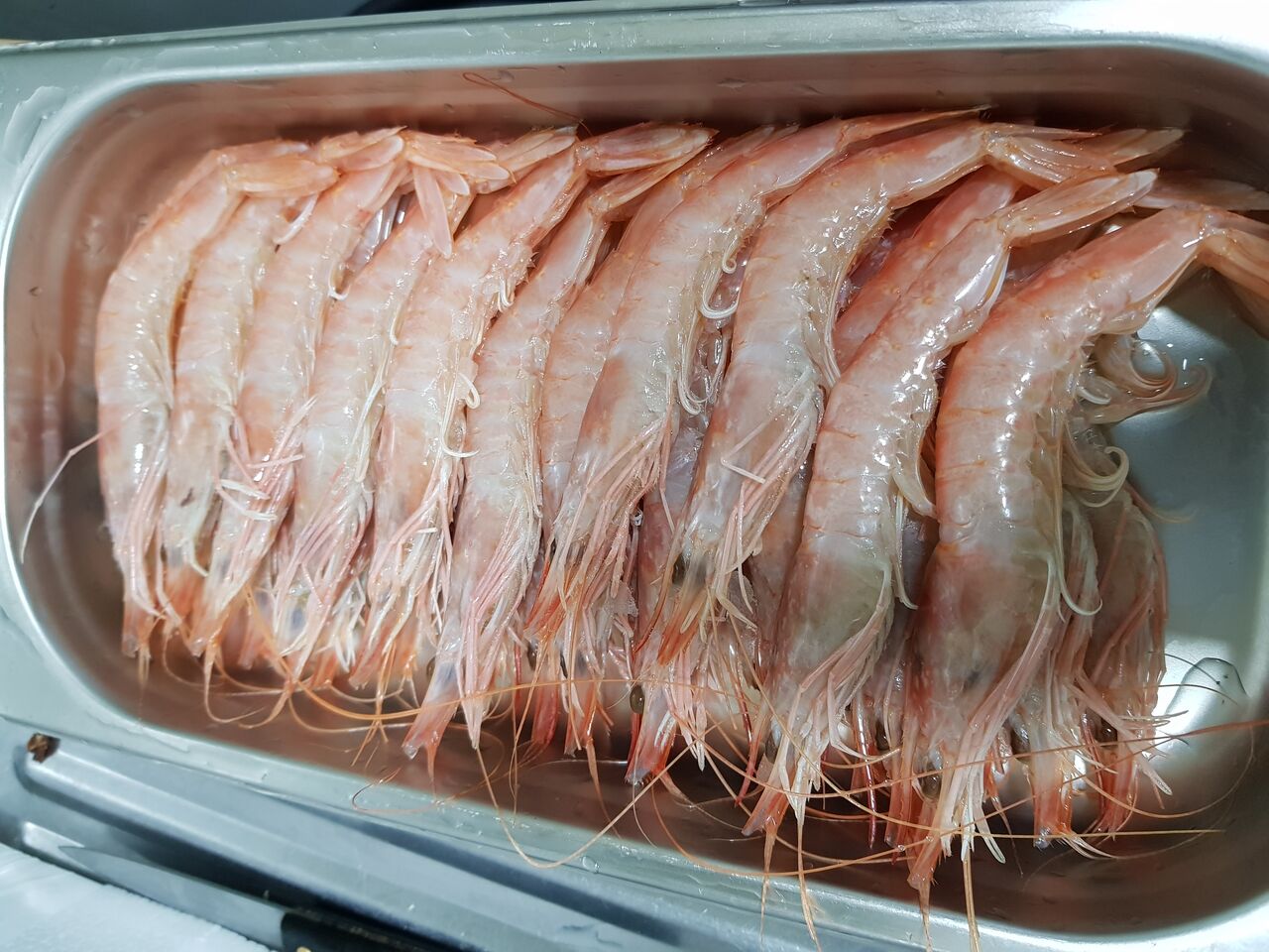 Gambas blancas frescas 
