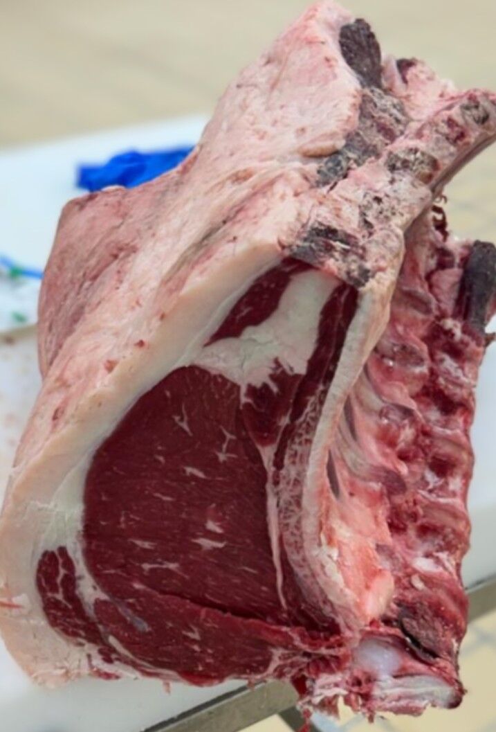 COSTATA DI SCOTTONA RAZZA BAVARESE 