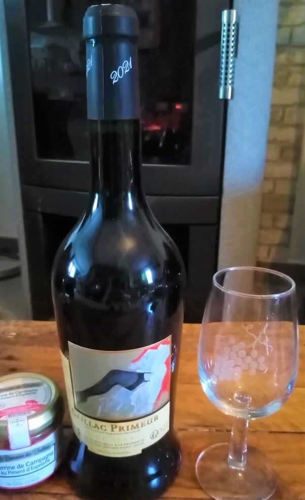 Gaillac Primeur Toulouse Lautrec Vinovalie 2021 + 1 pâté terrine offert*
*selon stock disponible