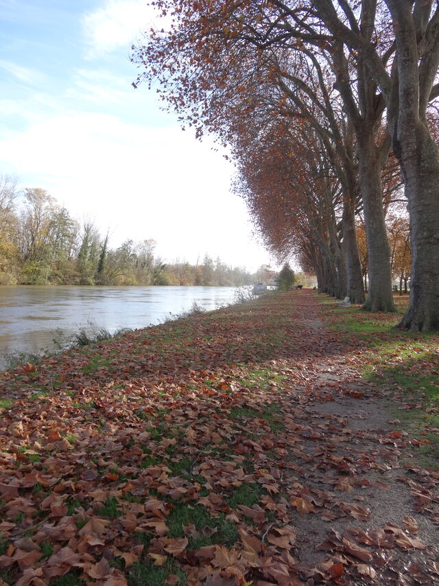 Sur les bords de Seine