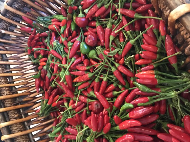 Fuego de Calabria ! (Sud Italia)