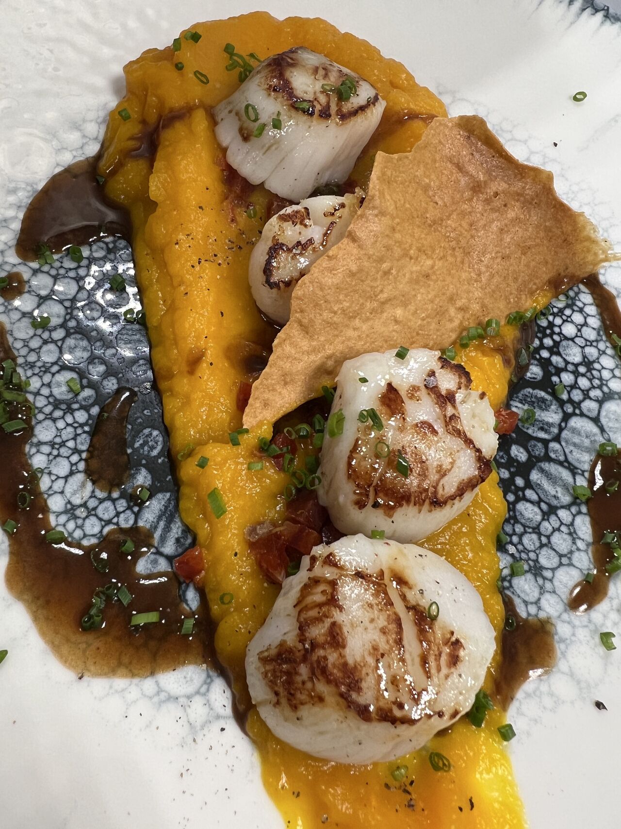 Les Saint Jacques à la Plancha, Jus Corsé, Chorizo Ibérique et Mousseline de Potimarron