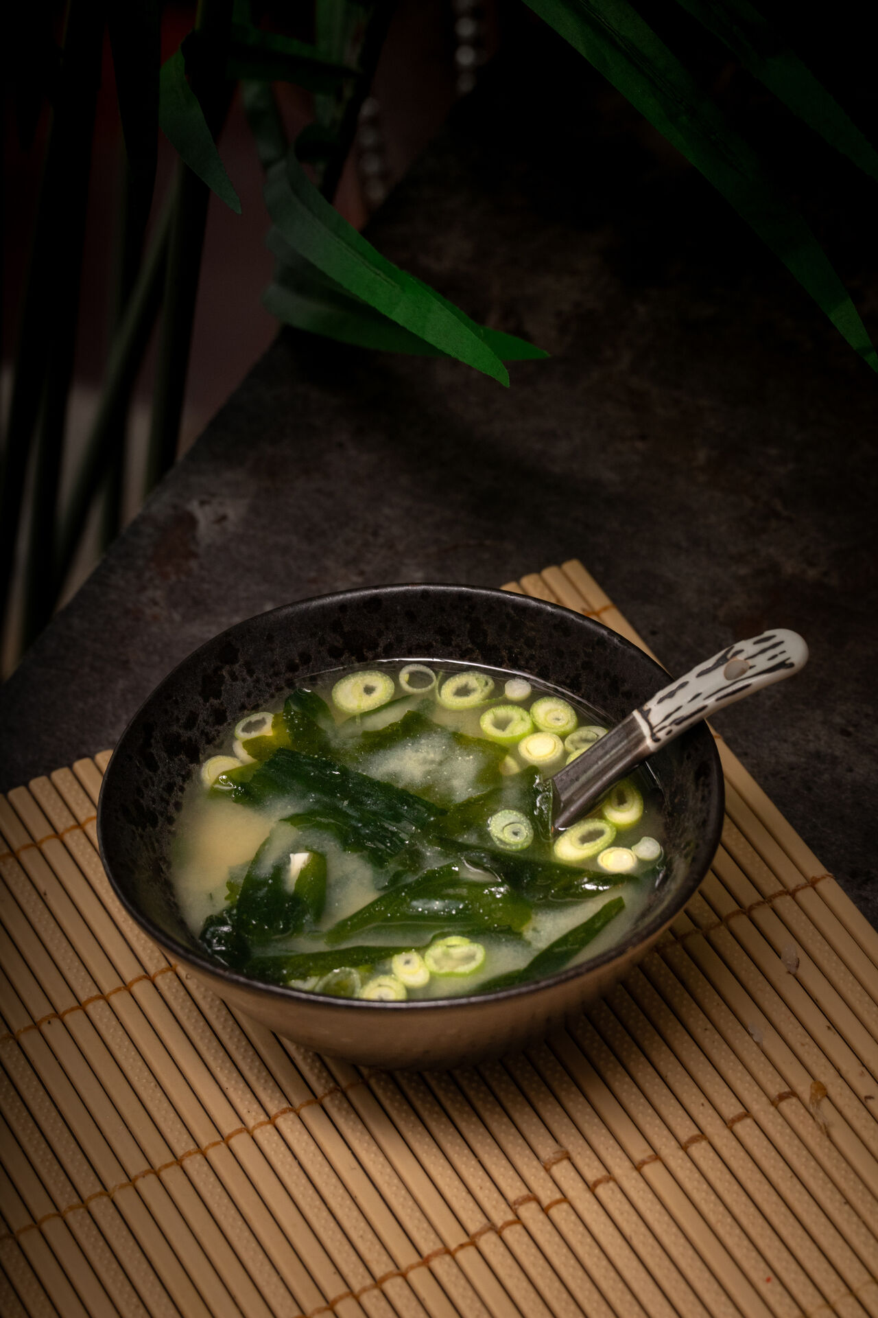 SOPA MISO