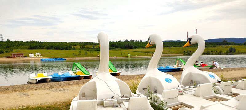 Máme k zapůjčení tři labutě šlapadla