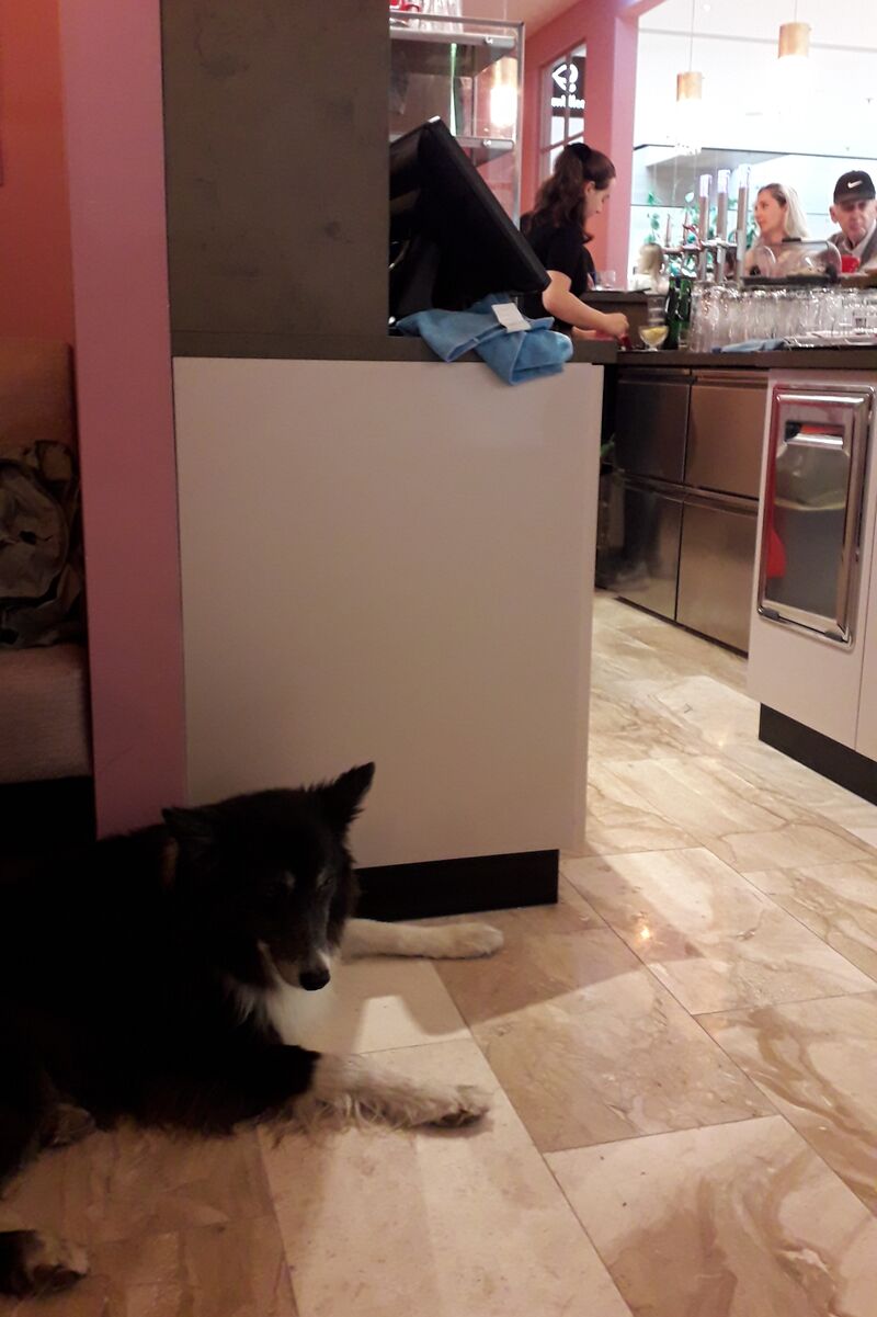 wuff, wuff... bekomme immer ein