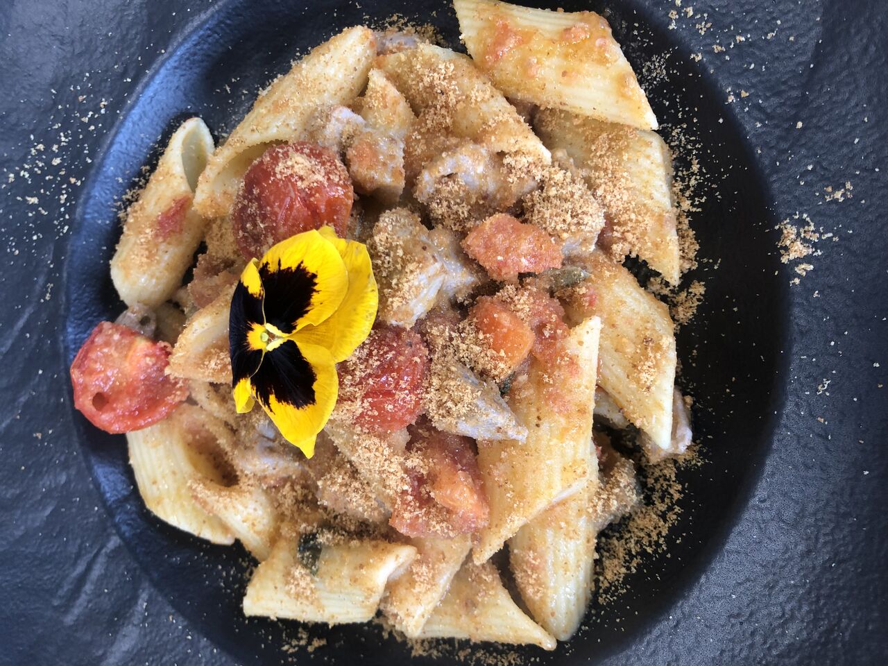 Pennoni al pesce spada alla siciliana 