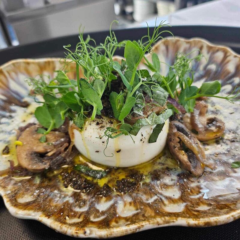 Burrata Crémeuse, poêlée de champignons, jus truffé