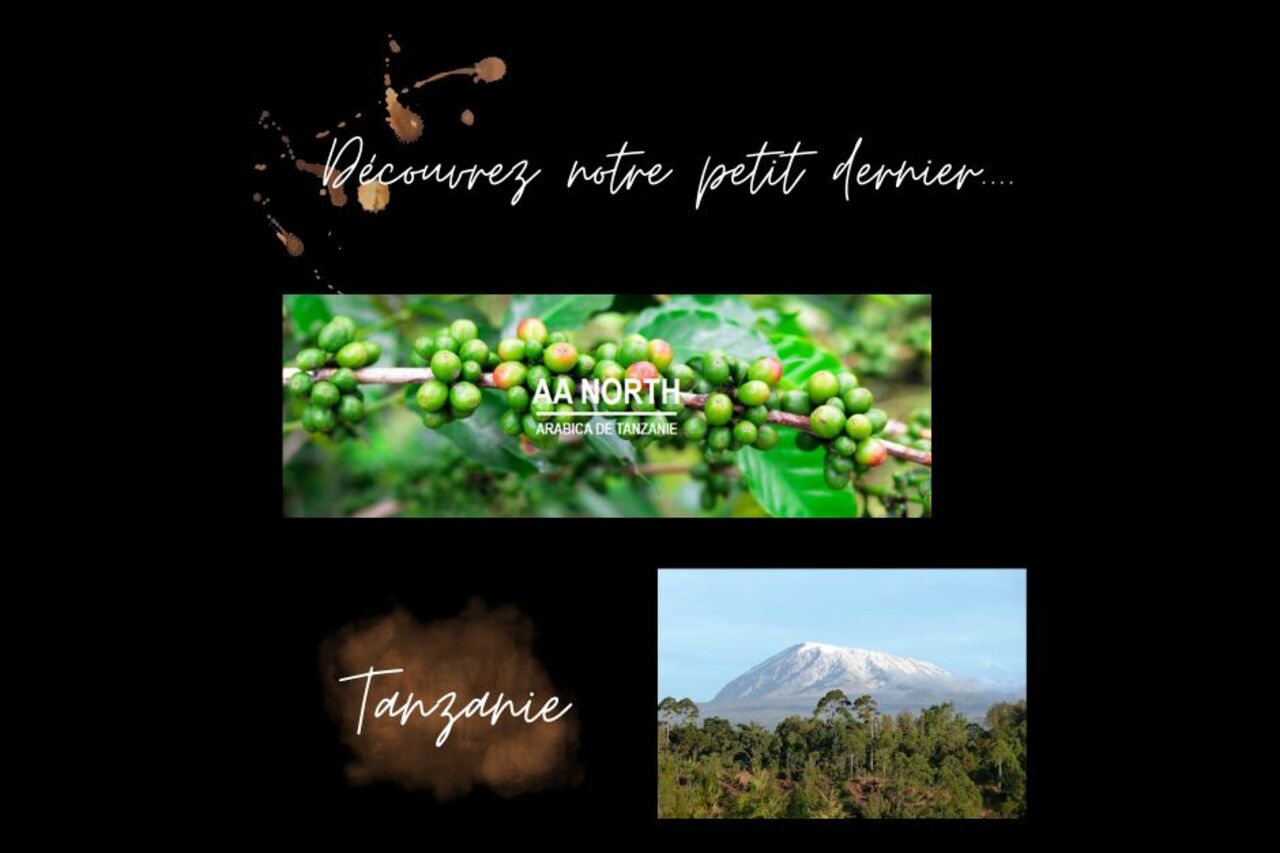 Découvrez notre petit dernier...