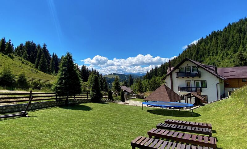 curte Poienița Ursului