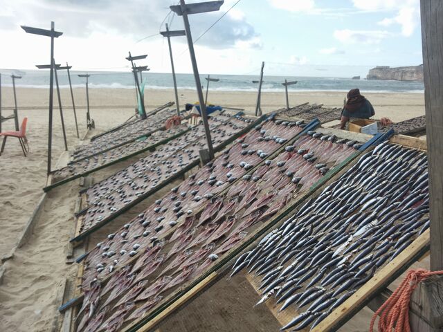 Stockfisch ( Portugal )