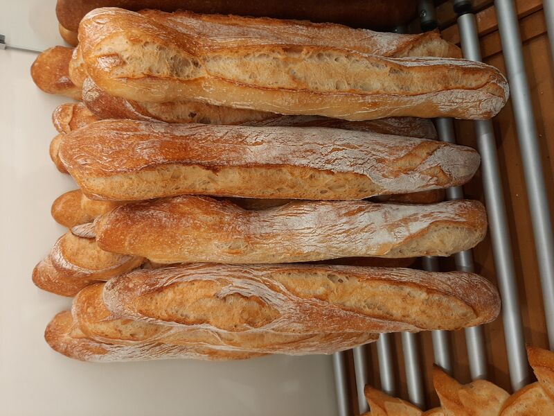 Baguettes de tradition française
Farine label rouge 