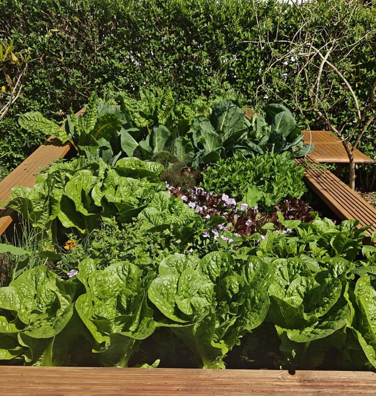 Willkommen im Leon am Abteiplatz