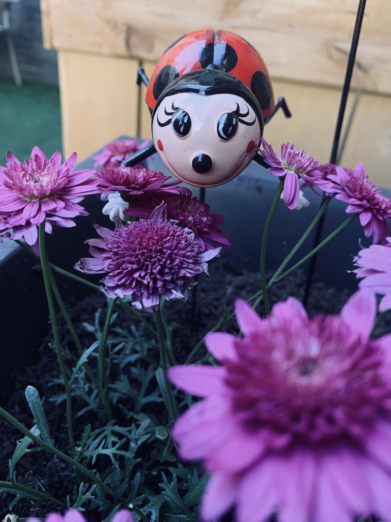 notre terrasse