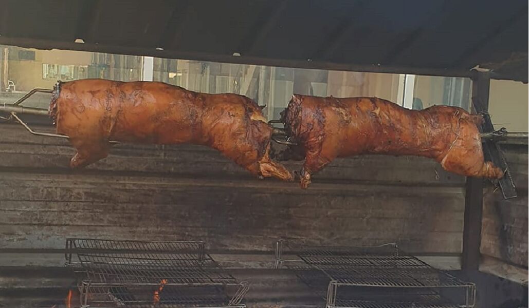 le plus jolie des cochons 