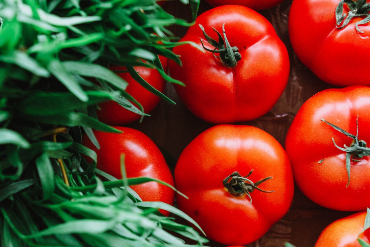 Quelle tomate pour nos pizzas ?