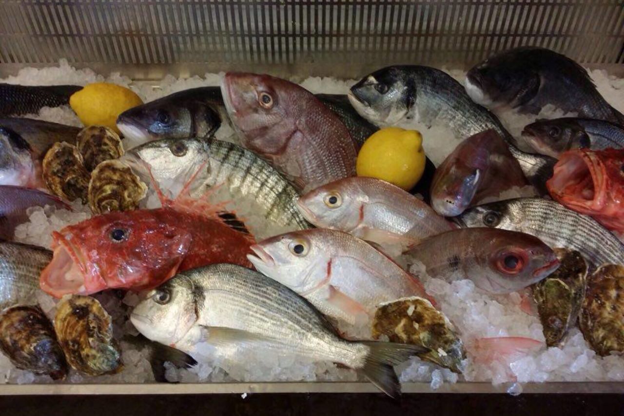 Pesce Fresco Giornaliero