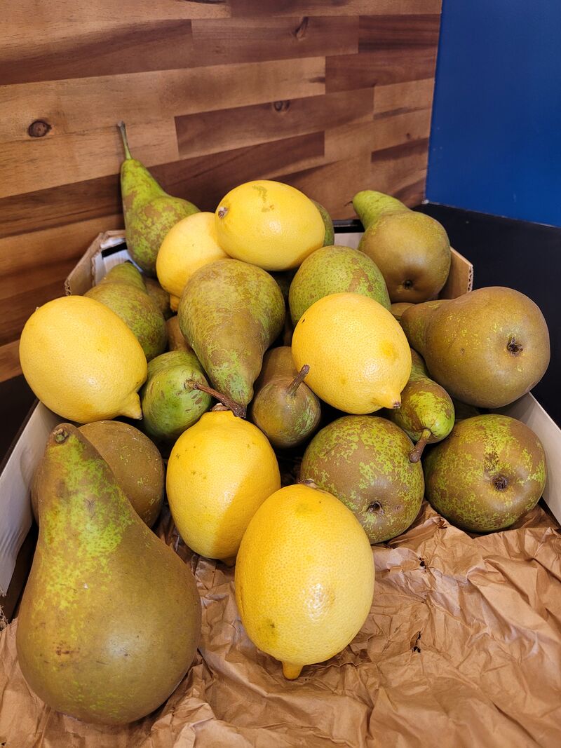 FRUITS DE SAISON (automne)