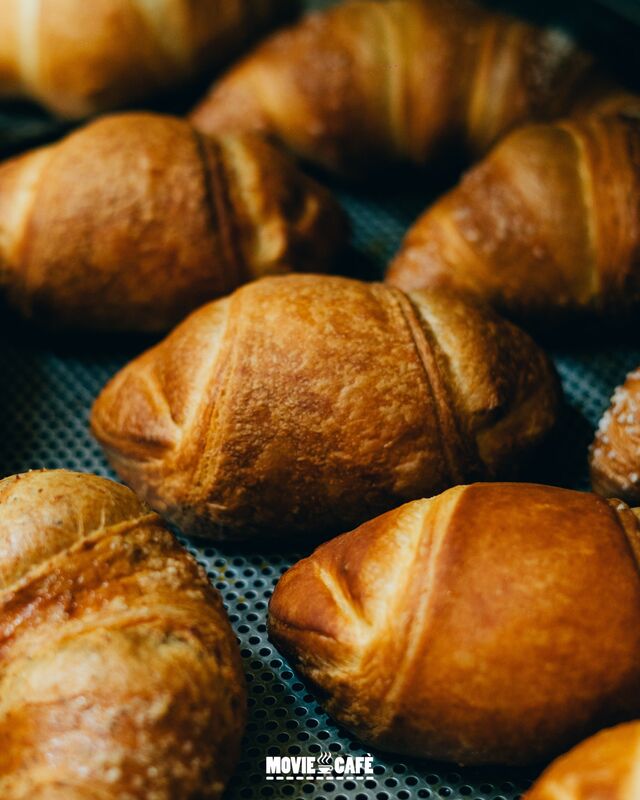 Le nostre brioches alla crema, appena sfornate, cotte a puntino e con la giusta doratura