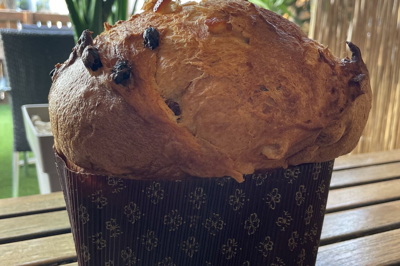 Panettone