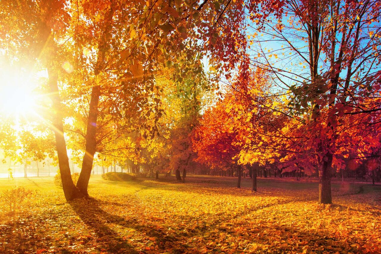 Arrivée de notre menu Automne-Hiver 2021-2022